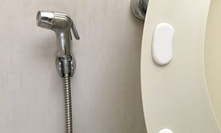 Bathroom Breakdown: Understanding Bidet Showers and Hoses