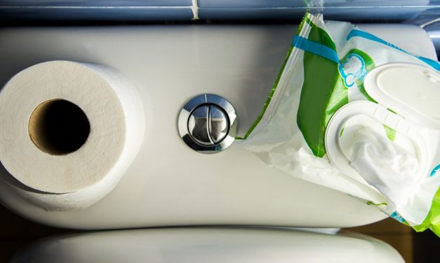 5 Toilet Paper Alternatives That Will Definitely Clog Your Pipes — And 2 Things That Won’t