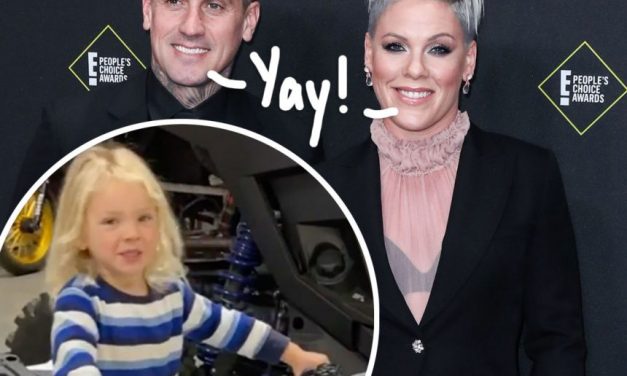 Pink’s Son Jameson Looks Healthy & Happy ‘Rocking Out’ With Dad Carey Hart After Recovering From The Coronavirus!