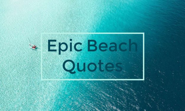 100 Beach Quotes & Ocean Captions For Those Who Love The Ocean