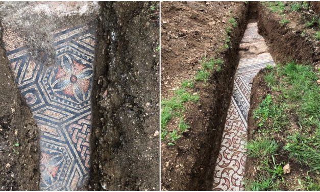 Magnificent Ancient Roman Mosaic Floor Unearthed in Verona, Italy