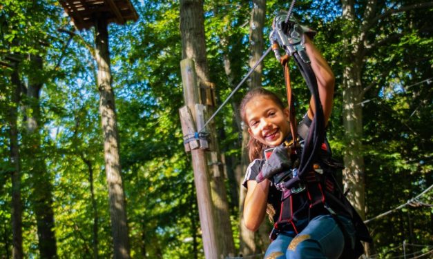 Yes, They’re Open: Where You Can Zipline In & Around NYC