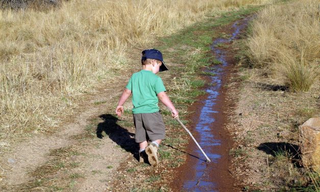 LA’s Best Locals-Only Hikes for Kids