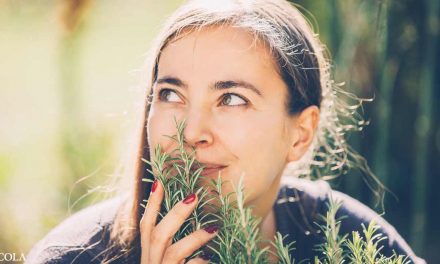 Can Rosemary Improve Cognitive Function?
