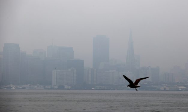 During Fire Season in California, Breathing Feels Like a Luxury