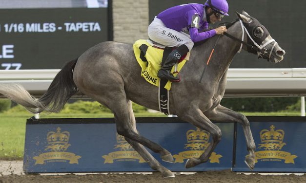 Mizzen Beau Wires Bison City Field, Giving Norm Casse First Canadian Triumph