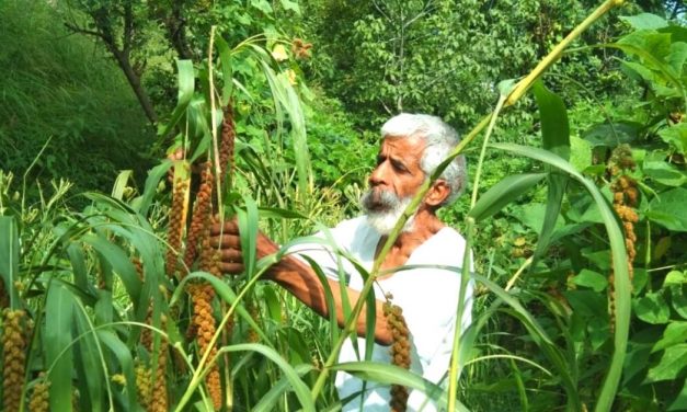 Meet the Man Teaching Farmers How to Grow 12 Crops a Year to Defy Droughts & Floods