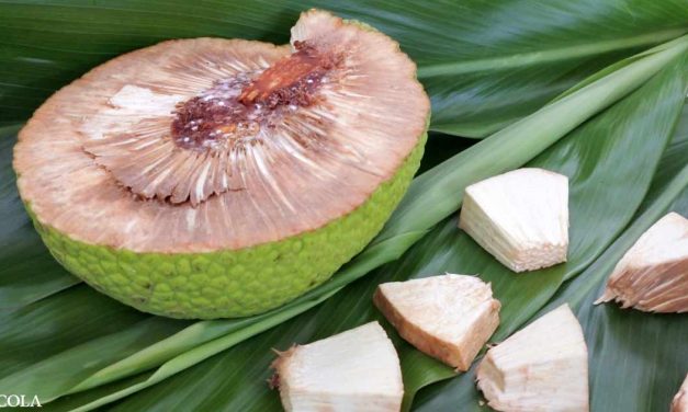 Have You Ever Heard of This Healthy Alternative to Flour?