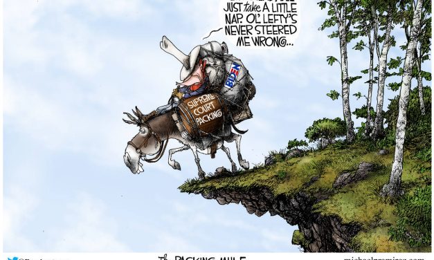 CARTOON: Not the best idea?