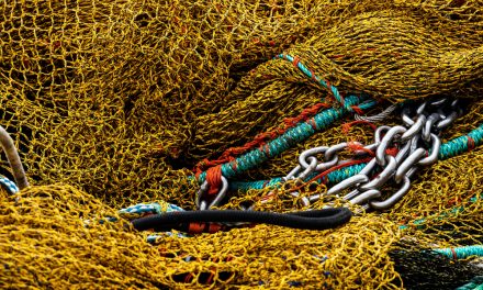 The ghost gear that haunts the world’s oceans