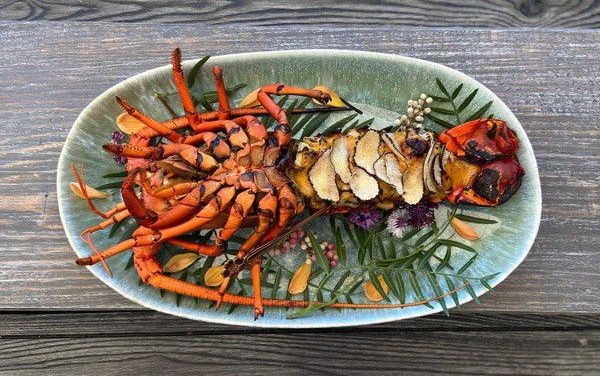 Recipe of the week: Dynamite lobster