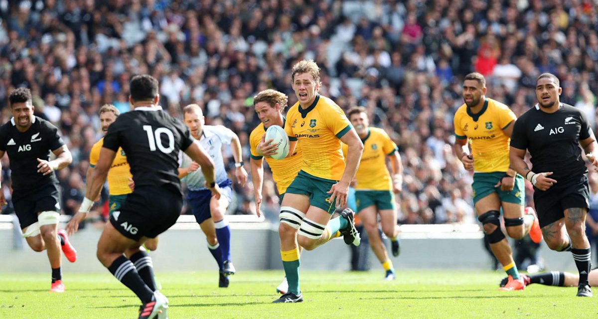 The Tri Nations equations: What the Wallabies, Pumas and All Blacks need to do to win