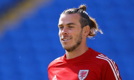 Some Wales fans react to Gareth Bale display against Finland