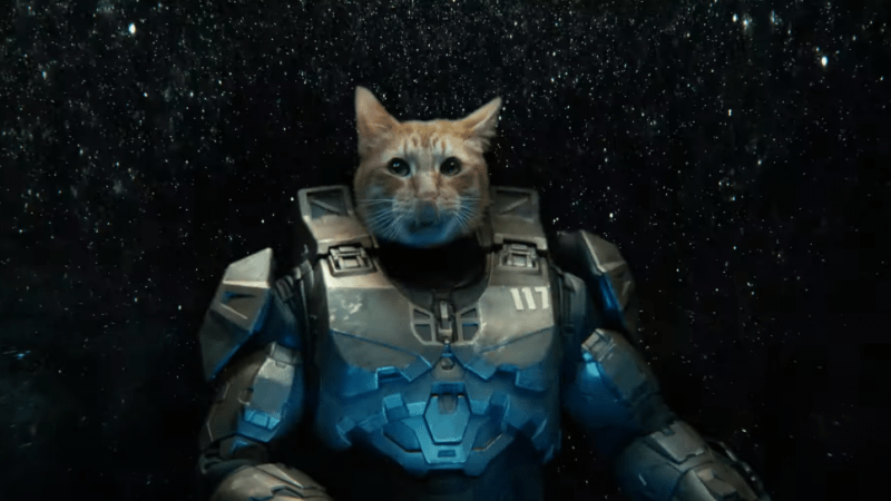 Taika Waititi Directs New Xbox Series X Video That Gives Us Meowster Chief