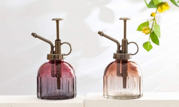 All the best plant misters for your indoor flowers and plants