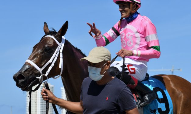 Zayas To Have New Competition When Gulfstream Spring/Summer Meet Opens Thursday