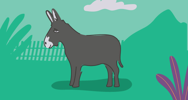 The Meaning of a Donkey Sighting