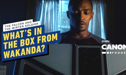Falcon and Winter Soldier Episode 5: What’s in the Box From Wakanda? | MCU Canon Fodder