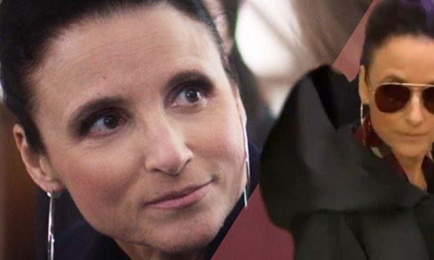 Falcon & Winter Soldier: How Julia Louis-Dreyfus Role Was Kept a Secret