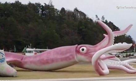 Japanese Town Decides Giant Squid Statue Is Best Use Of COVID-19 Relief Funds