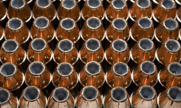 Hollow-Point Bullets: What They Are, and The Best Uses – Wide Open Spaces