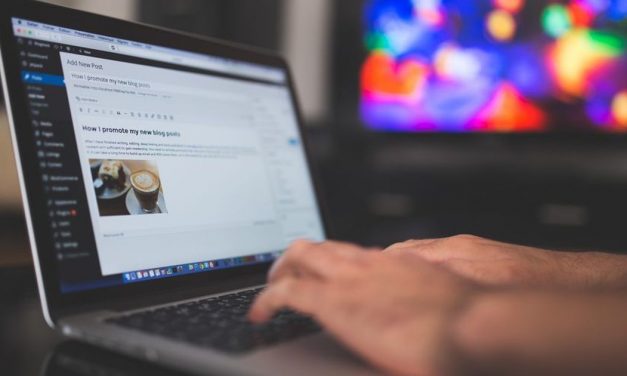 Build a dazzling website with the help of this WordPress bundle
