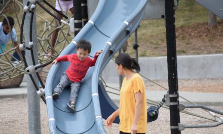 The Ultimate Guide to Seattle’s Best Neighborhood Playgrounds & Parks