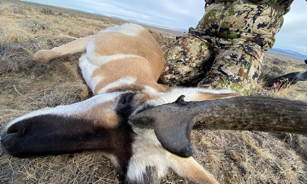 Guy’s Top Wyoming Antelope Picks 2021