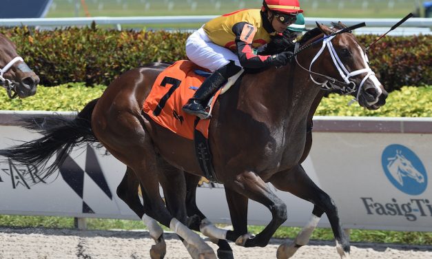 Pletcher-Trained Basin Will Try To Spring The Upset In Salvator Mile