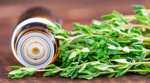 Why It’s Time to Discover the Benefits of Thyme…