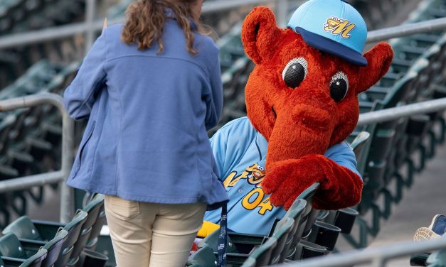 Minor league baseball’s best nicknames and mascots