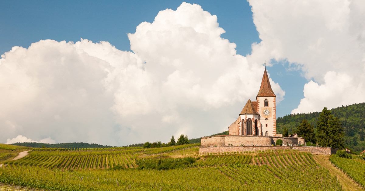 Get To Know The Wines Of Alsace, France