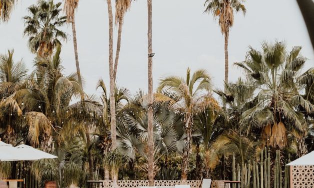 Links + Loves: These Target Vases are 9 for $15 + The Best Newlywed Mugs