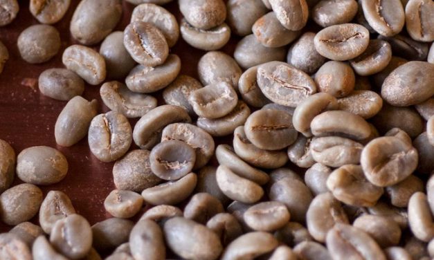 Top tips for omni roasting coffee