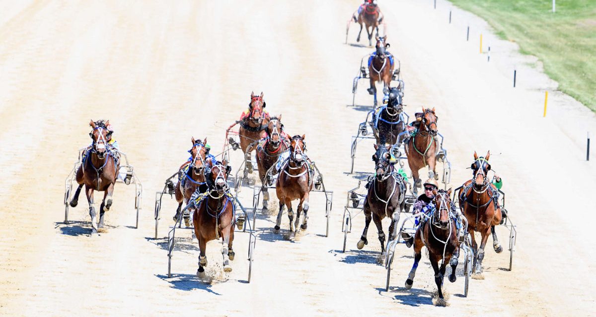 Harness racing selections: Tuesday, August 3