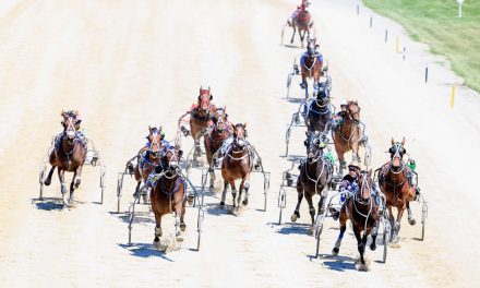 Harness racing selections: Tuesday, August 3