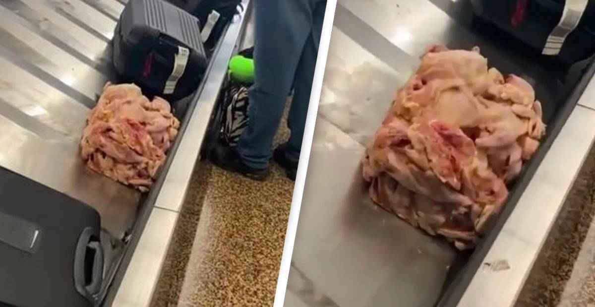 Raw Meat Cube On Airport Luggage Carousel Leaves Passengers Nauseous