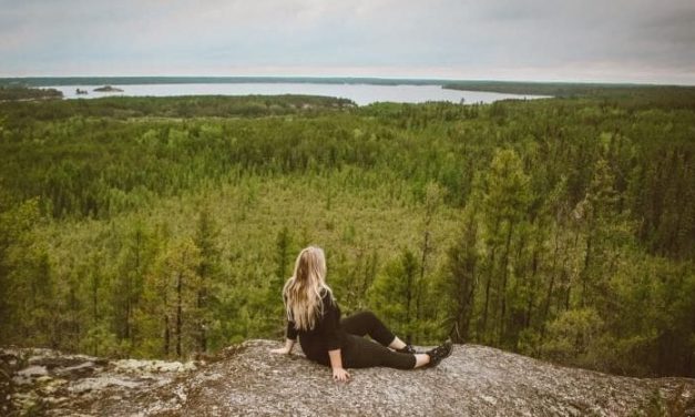 Driving in Canada for Visitors | Rules, Tips, & Info [2021]