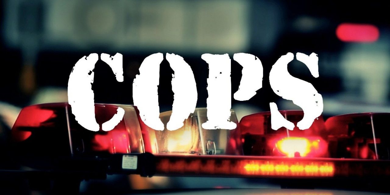 Cops Reboot Coming To New Fox Nation Streaming Service