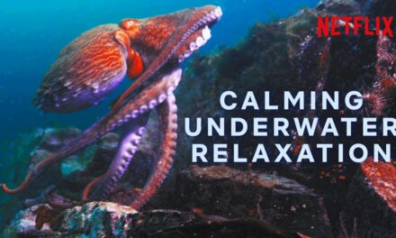 🔴 Never-ending Relaxing Underwater Scenes | Netflix