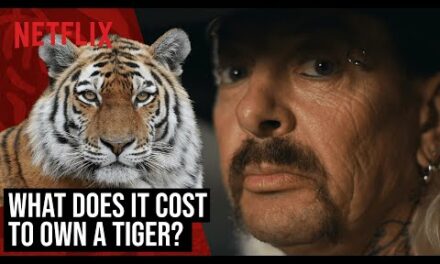 The Cost Of Owning A Tiger, Explained | Tiger King 2 | Netflix