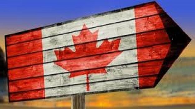 Best Courses to Study in Canada after 12th