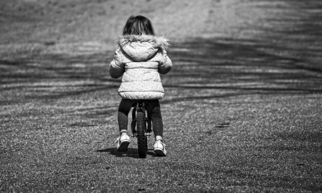 The Best Balance Bikes (2021 Reviews)