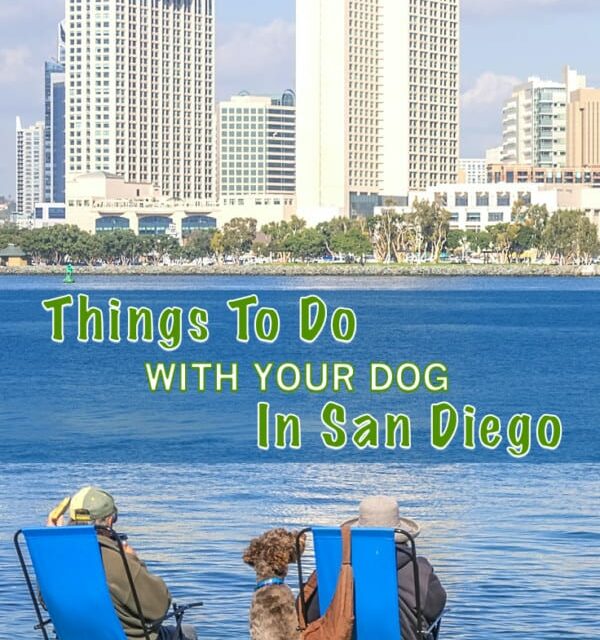 San Diego’s Top 10 Dog Friendly Activities