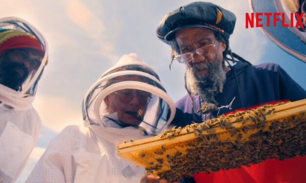 The Bee Whisperer | Netflix