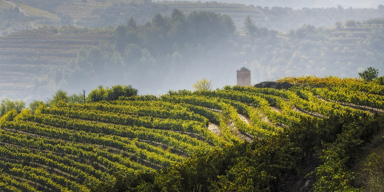 The Stunning, Rugged Landscape of Priorat and its Wines
