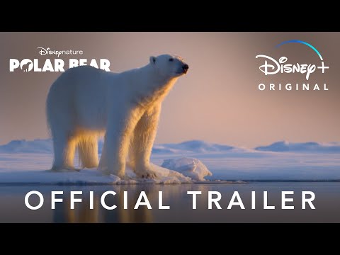 Official Trailer | Disneynature’s Polar Bear | Disney+